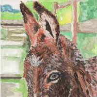 Monicas art donkey foal d7eb09b6ed9feb5f2b5d3e5d5229c1a0634de106c44af7057c824c9290965a5f